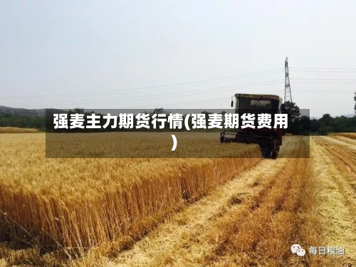 强麦主力期货行情(强麦期货费用)-第3张图片