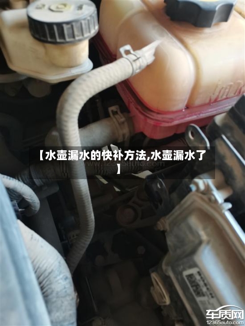 【水壶漏水的快补方法,水壶漏水了】