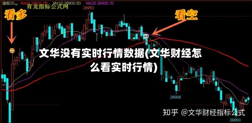 文华没有实时行情数据(文华财经怎么看实时行情)-第2张图片