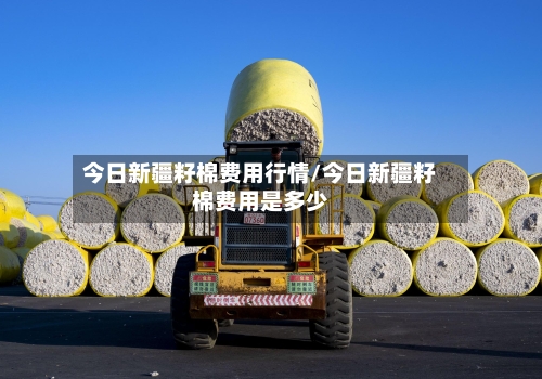 今日新疆籽棉费用行情/今日新疆籽棉费用是多少-第2张图片