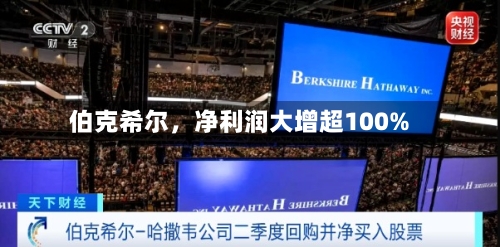 伯克希尔，净利润大增超100%-第2张图片