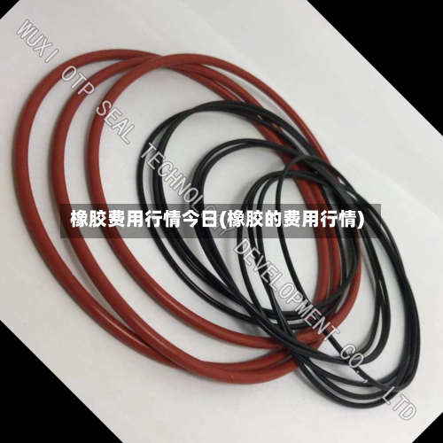 橡胶费用行情今日(橡胶的费用行情)-第3张图片