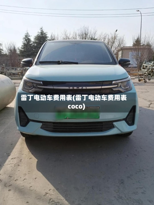 雷丁电动车费用表(雷丁电动车费用表 coco)