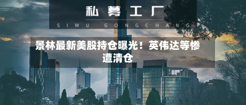 景林最新美股持仓曝光！英伟达等惨遭清仓-第2张图片