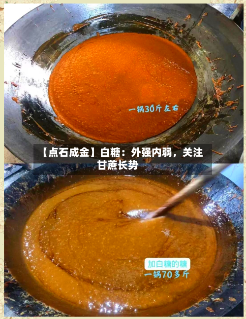 【点石成金】白糖：外强内弱	，关注甘蔗长势-第3张图片