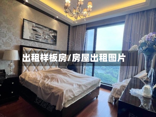 出租样板房/房屋出租图片-第3张图片