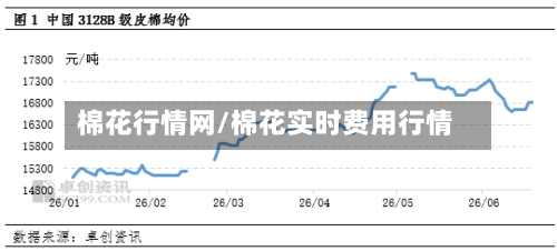 棉花行情网/棉花实时费用行情