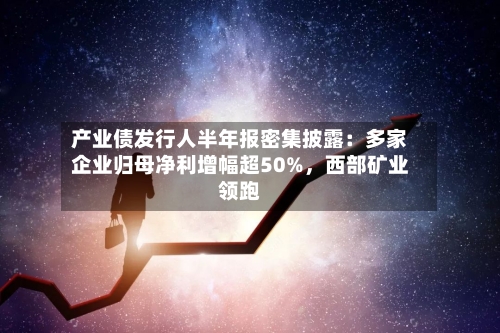 产业债发行人半年报密集披露：多家企业归母净利增幅超50%，西部矿业领跑-第2张图片