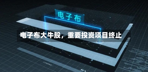 电子布大牛股	，重要投资项目终止-第1张图片