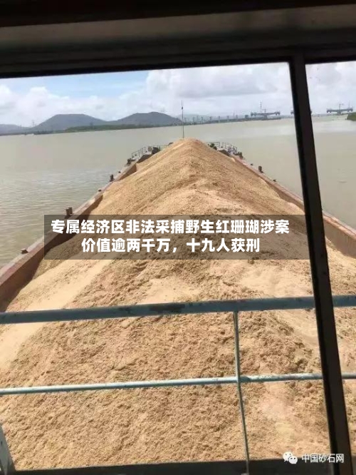 专属经济区非法采捕野生红珊瑚涉案价值逾两千万，十九人获刑-第2张图片