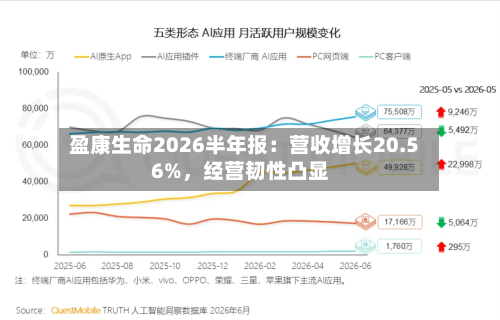 盈康生命2026半年报：营收增长20.56%	，经营韧性凸显-第2张图片