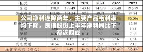 公司净利连降两年	，主要产品毛利率均下降，良信股份上半年净利同比下滑近四成-第2张图片