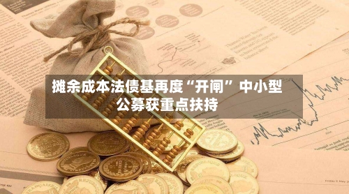 摊余成本法债基再度“开闸” 中小型公募获重点扶持-第3张图片