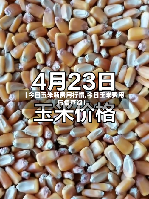 【今日玉米新费用行情,今日玉米费用行情查询】