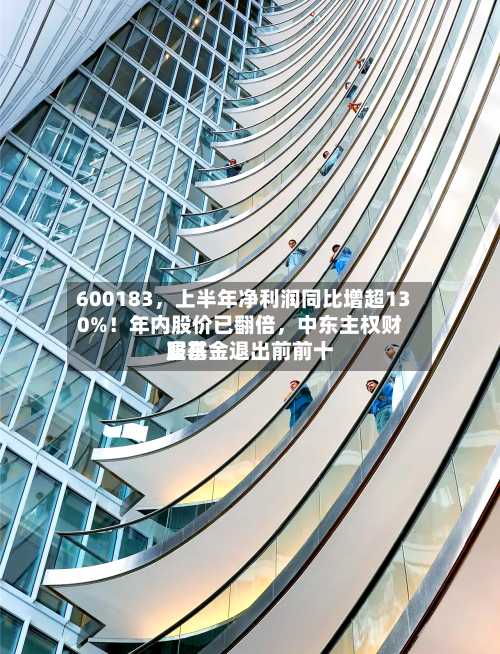 600183，上半年净利润同比增超130%！年内股价已翻倍，中东主权财富基金退出前前十股东-第1张图片