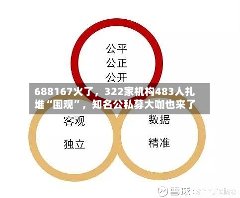688167火了	，322家机构483人扎堆“围观”，知名公私募大咖也来了-第3张图片