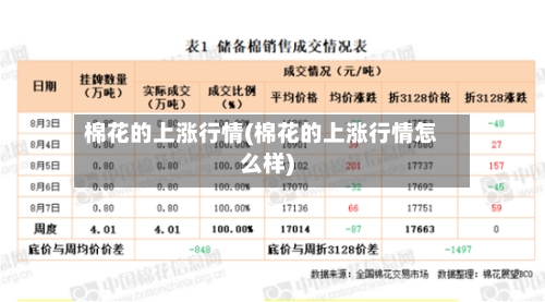 棉花的上涨行情(棉花的上涨行情怎么样)-第3张图片