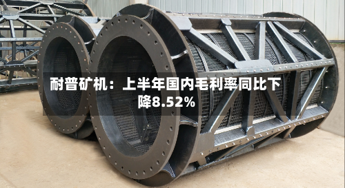 耐普矿机:上半年国内毛利率同比下降8.52%-第1张图片