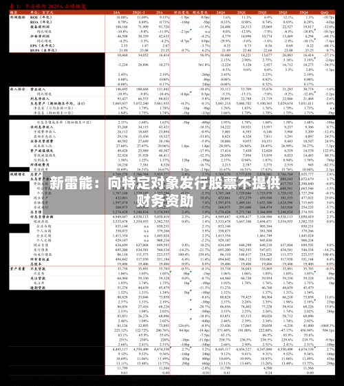 新雷能：向特定对象发行股票不提供财务资助-第3张图片
