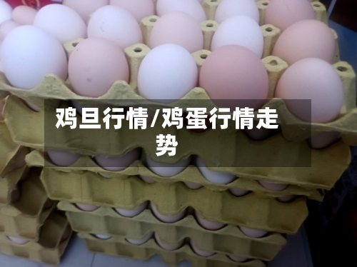鸡旦行情/鸡蛋行情走势