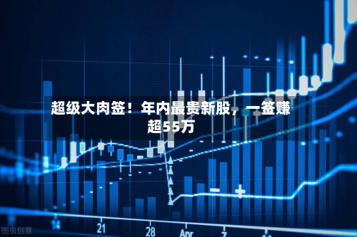 超级大肉签！年内最贵新股	，一签赚超55万-第2张图片