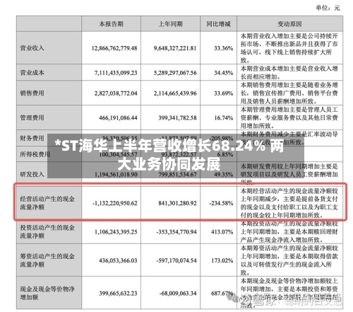 *ST海华上半年营收增长68.24% 两大业务协同发展