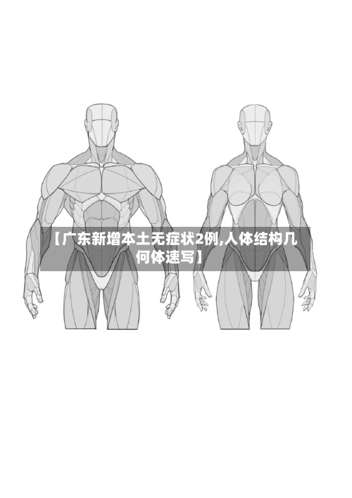 【广东新增本土无症状2例,人体结构几何体速写】
