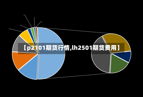 【p2101期货行情,lh2501期货费用】