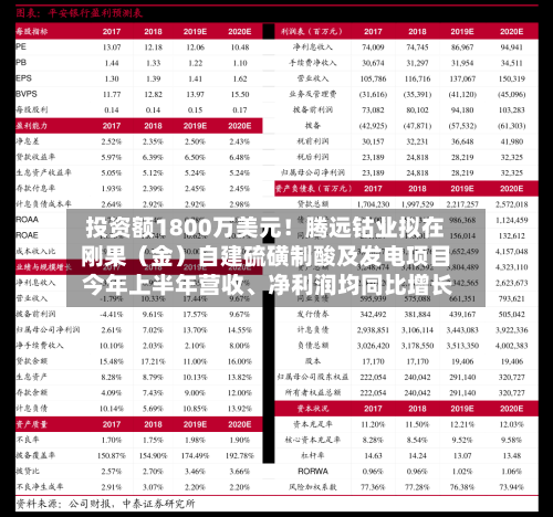 投资额1800万美元！腾远钴业拟在刚果（金）自建硫磺制酸及发电项目 今年上半年营收、净利润均同比增长-第2张图片