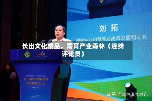 长出文化精品	，需育产业森林（连线评论员）-第2张图片