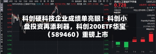 科创硬科技企业成绩单亮眼！科创小盘投资再添利器，科创200ETF华宝（589460）重磅上市-第3张图片