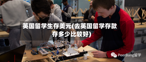 英国留学生存美元(去英国留学存款存多少比较好)
