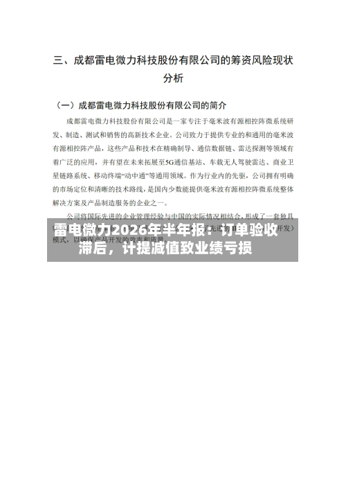 雷电微力2026年半年报：订单验收滞后，计提减值致业绩亏损-第2张图片