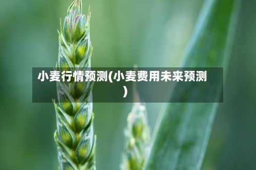 小麦行情预测(小麦费用未来预测)