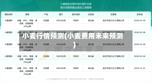 小麦行情预测(小麦费用未来预测)-第3张图片