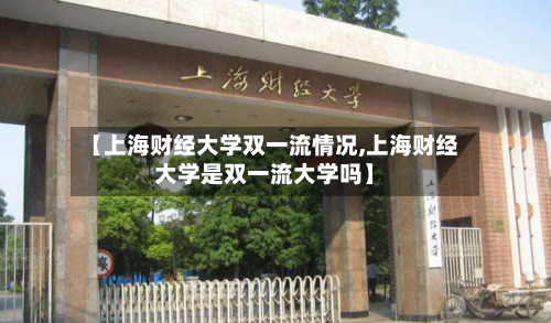【上海财经大学双一流情况,上海财经大学是双一流大学吗】-第3张图片
