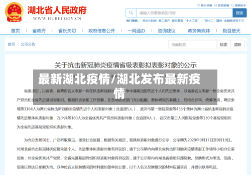 最新湖北疫情/湖北发布最新疫情-第2张图片