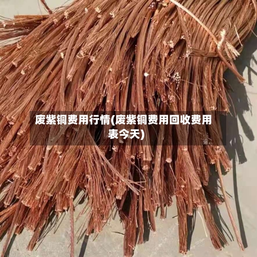 废紫铜费用行情(废紫铜费用回收费用表今天)