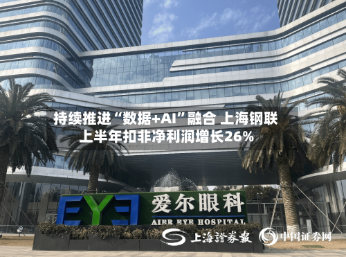 持续推进“数据+AI”融合 上海钢联上半年扣非净利润增长26%