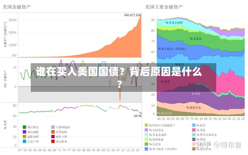 谁在买入美国国债？背后原因是什么？