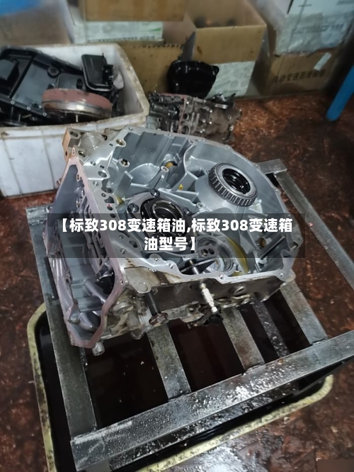 【标致308变速箱油,标致308变速箱油型号】