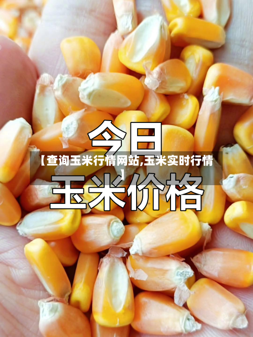 【查询玉米行情网站,玉米实时行情】