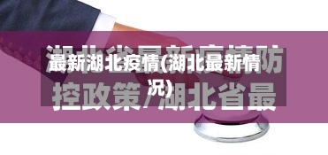 最新湖北疫情(湖北最新情况)-第3张图片