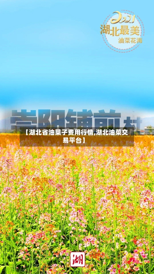 【湖北省油菜子费用行情,湖北油菜交易平台】