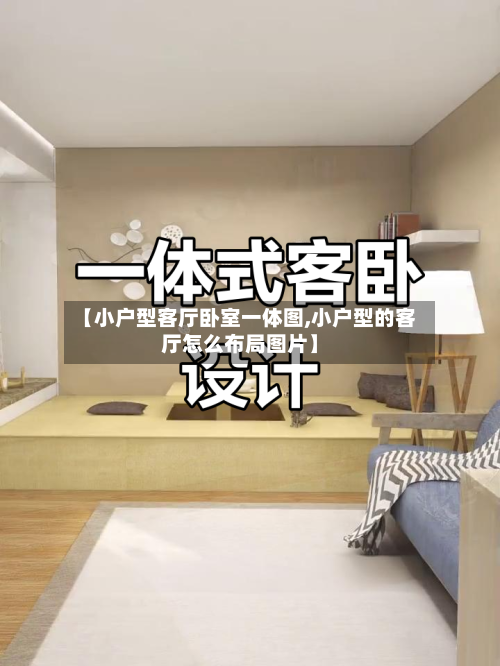 【小户型客厅卧室一体图,小户型的客厅怎么布局图片】
