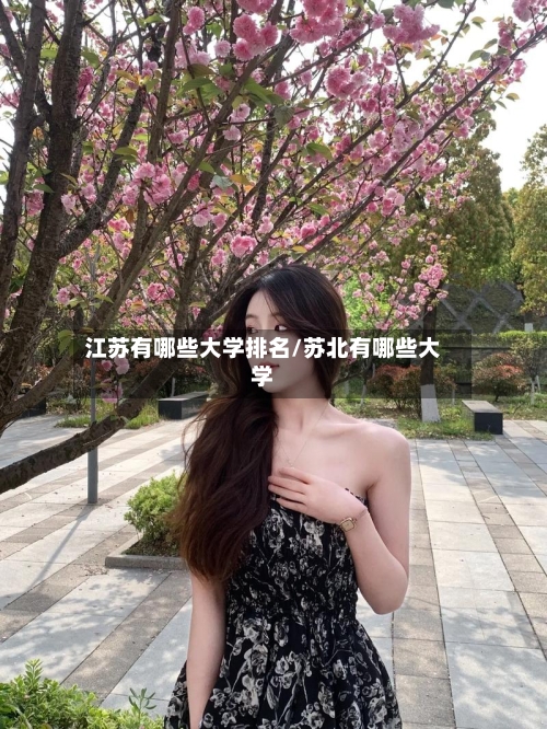 江苏有哪些大学排名/苏北有哪些大学