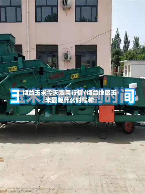 烟台玉米今天费用行情/烟台地区玉米最晚什么时候种-第3张图片