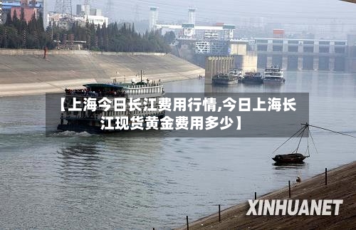 【上海今日长江费用行情,今日上海长江现货黄金费用多少】-第2张图片