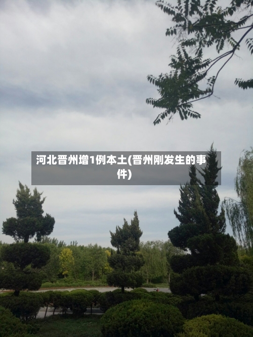 河北晋州增1例本土(晋州刚发生的事件)-第2张图片