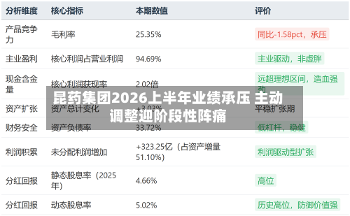 昆药集团2026上半年业绩承压 主动调整迎阶段性阵痛-第2张图片